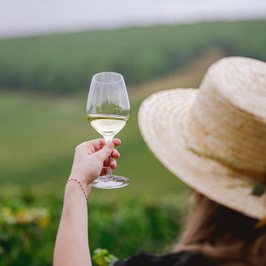 LA BALADE A VELO DANS LES VIGNES