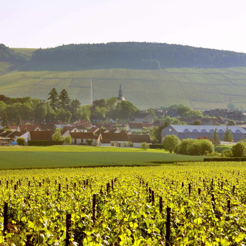 LA MAGIE DE CHABLIS BIS