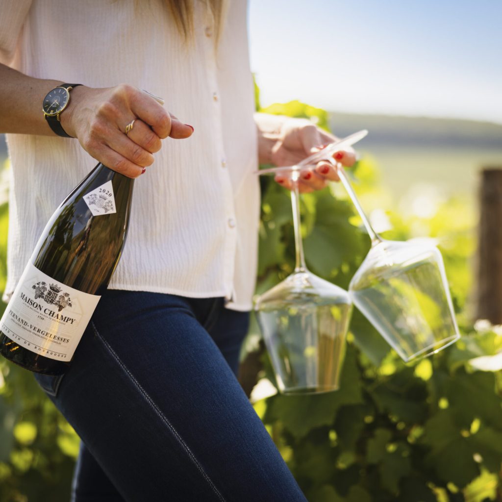 L'EXPERIENCE BOURGUIGNONNE